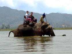 Buon jun, ethnie minoritaire, promenade a dos d'elephant, 